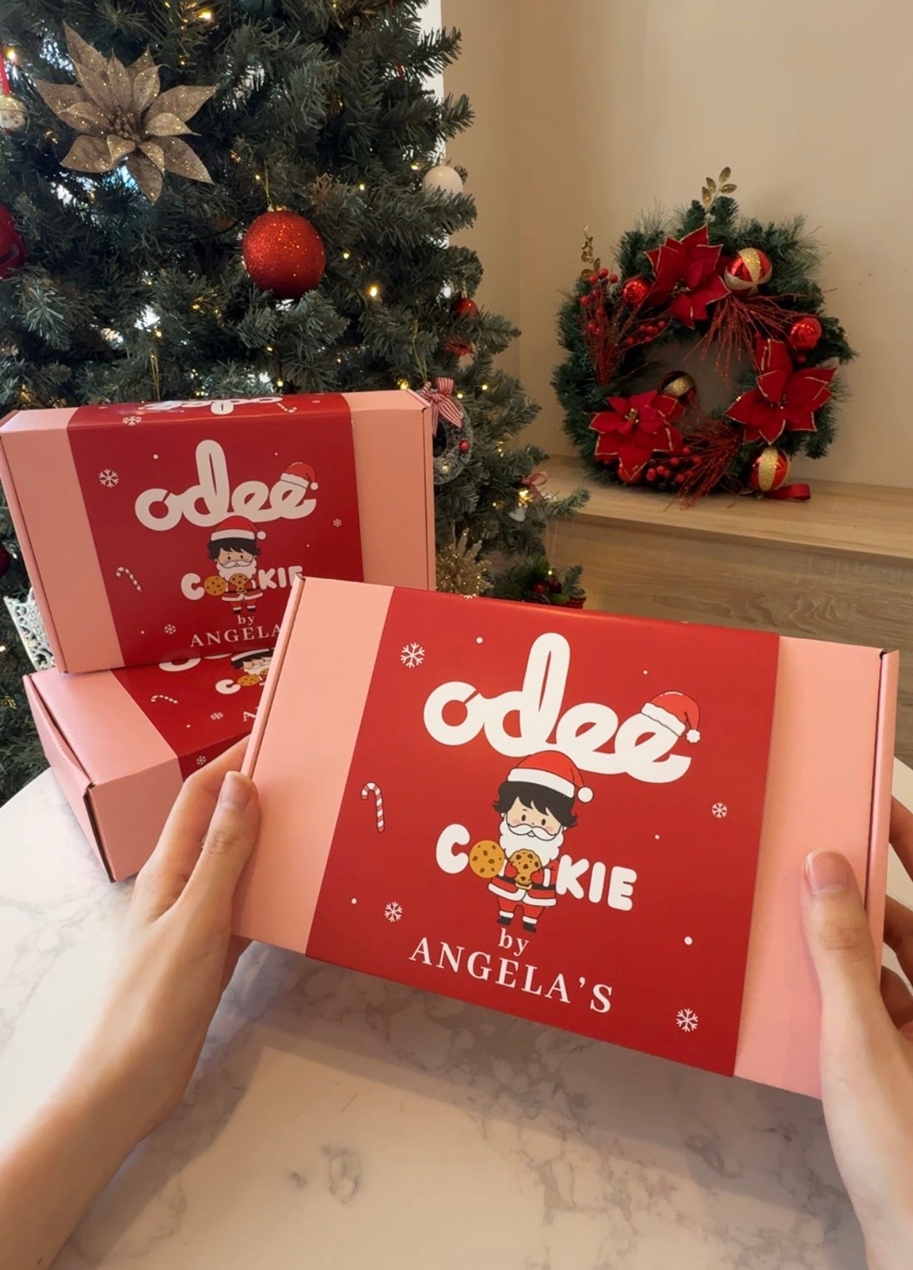 CHRISTMAS MINI COOKIE BOX