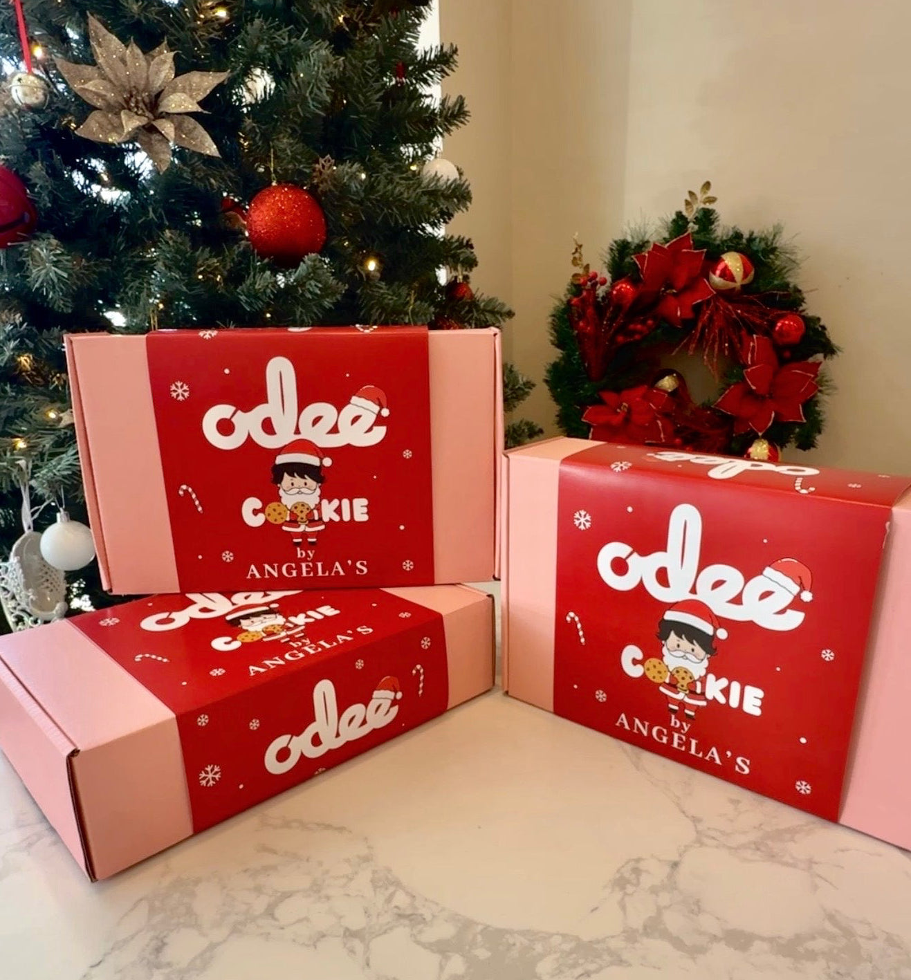 CHRISTMAS MINI COOKIE BOX